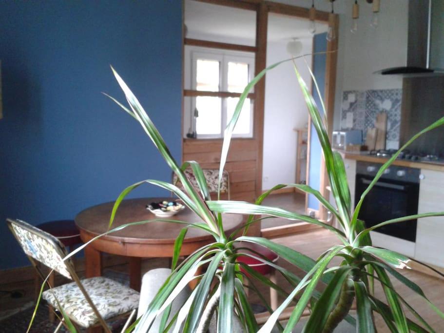 Logement Independant Colmar Eksteriør bilde